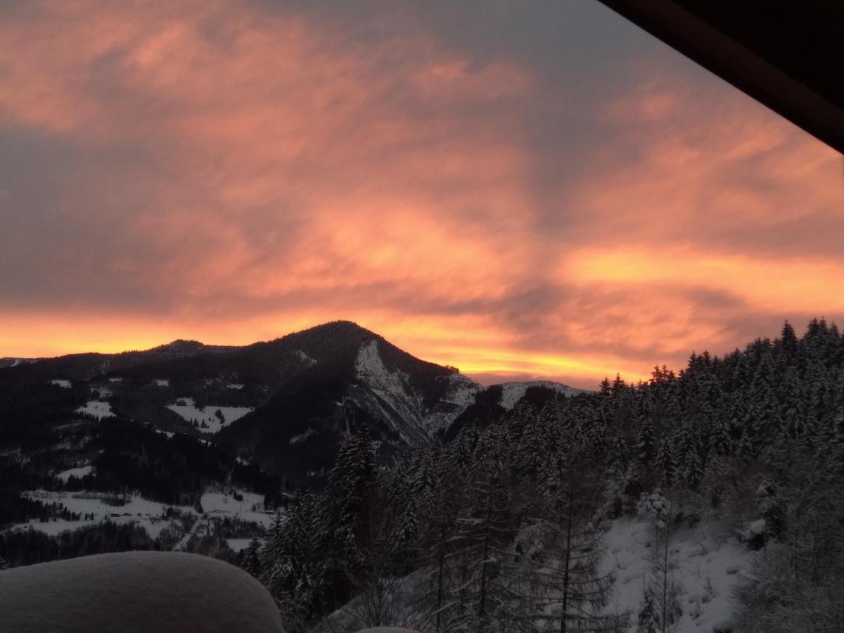 Schmittenblick Appartement *