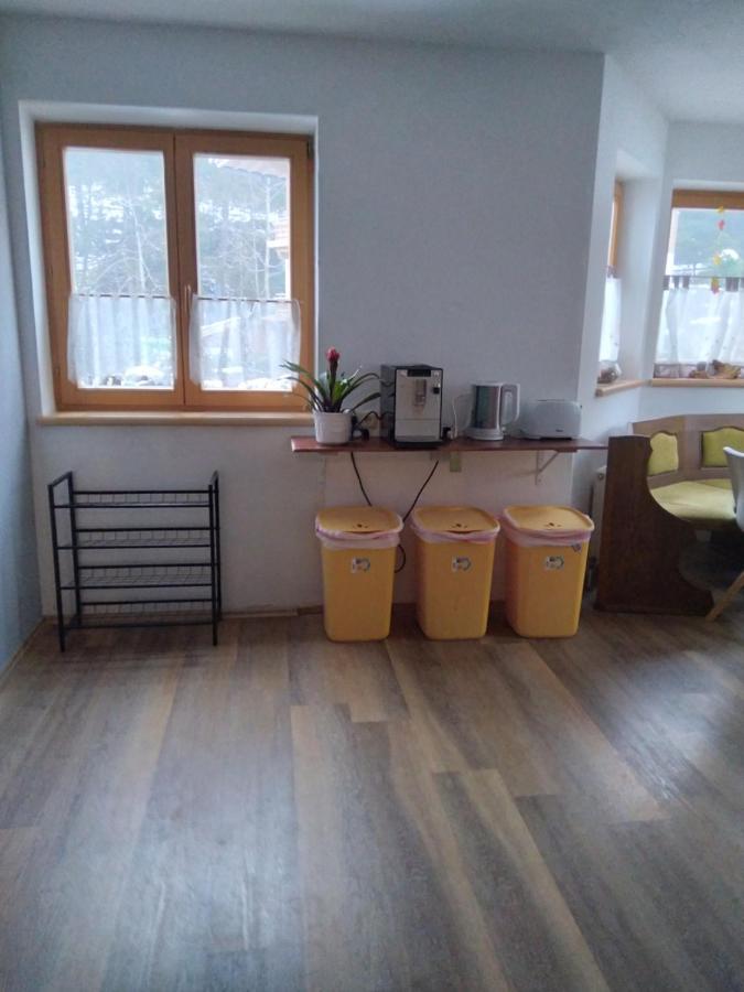 Schmittenblick Apartment